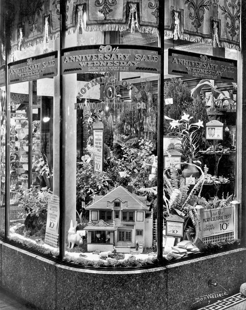 A horticulture display from an F.W. Woolworth store in northwestern Ohio from 1929.  This was the 50th anniversary year for Woolworth's.  My great-uncle managed this store and pioneered the idea of selling live plants at Woolworth's. View full size.
