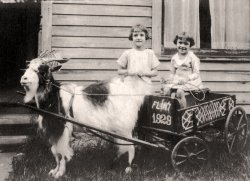 Flint, Michigan 1929. My mother was 7 years old at the time. She is sitting in the buggy. View full size
(ShorpyBlog, Member Gallery)