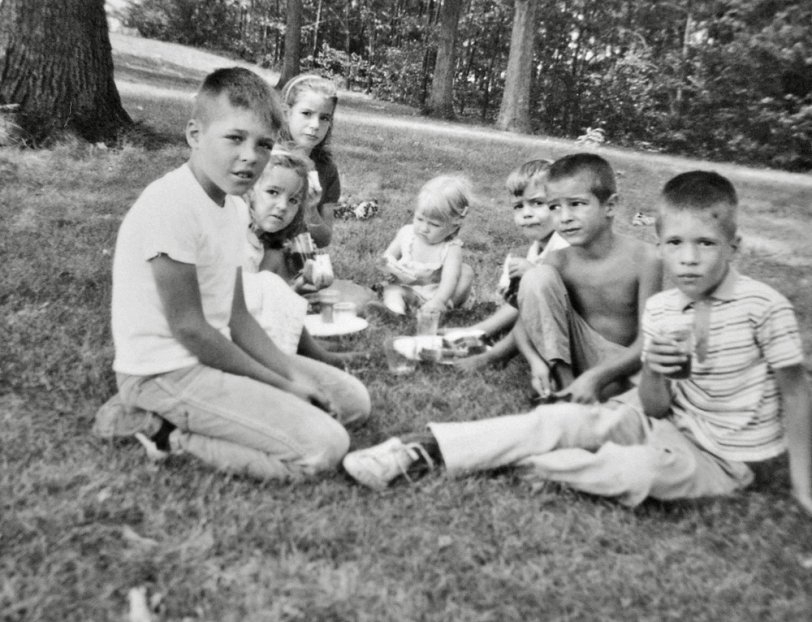1965, Ohio. I think it was some kind of picnic that our folks dragged us out on. I'm on the far right, my Bro is on the left and there are a few cousins sprinkled in between. View full size.
