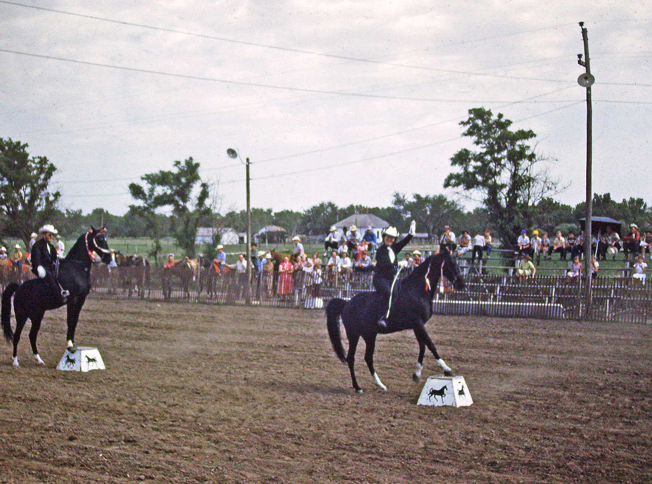 These were called "Dancing Horses" and were housed in Meade, Kansas. They performed at Cimarron Days in 1953 and were photographed by my late father-in-law, J. Leslie Stewart. This was found in a storage box which now belongs to his children. View full size.