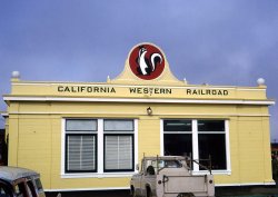 The station for the "Skunk Train" in Fort Bragg, California. One of many Kodachromes taken by Ruth Cooper, Pocasset, MA. View full size.
1965The lovely little passenger depot (in Colonial Revival style) at Fort Bragg, California is so familiar to me. This view was taken circa 1965, or slightly after. Before '65 it was painted white with black sash and gray trim, the "colors" it wore since its construction in 1923-24. The soft yellow with added "Skunk" train emblem and railroad name on the crest of the roofline came with the re-introduction of summer-season steam passenger excursion trains, a.k.a. the "Super Skunk." Man, does, this photo take me back.
(ShorpyBlog, Member Gallery)