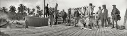 Circa 1920. "Bimini, Bahamas. Fish dock with day's catch." 4x12 inch panoramic nitrate negative by Albert M. Price. View full size.