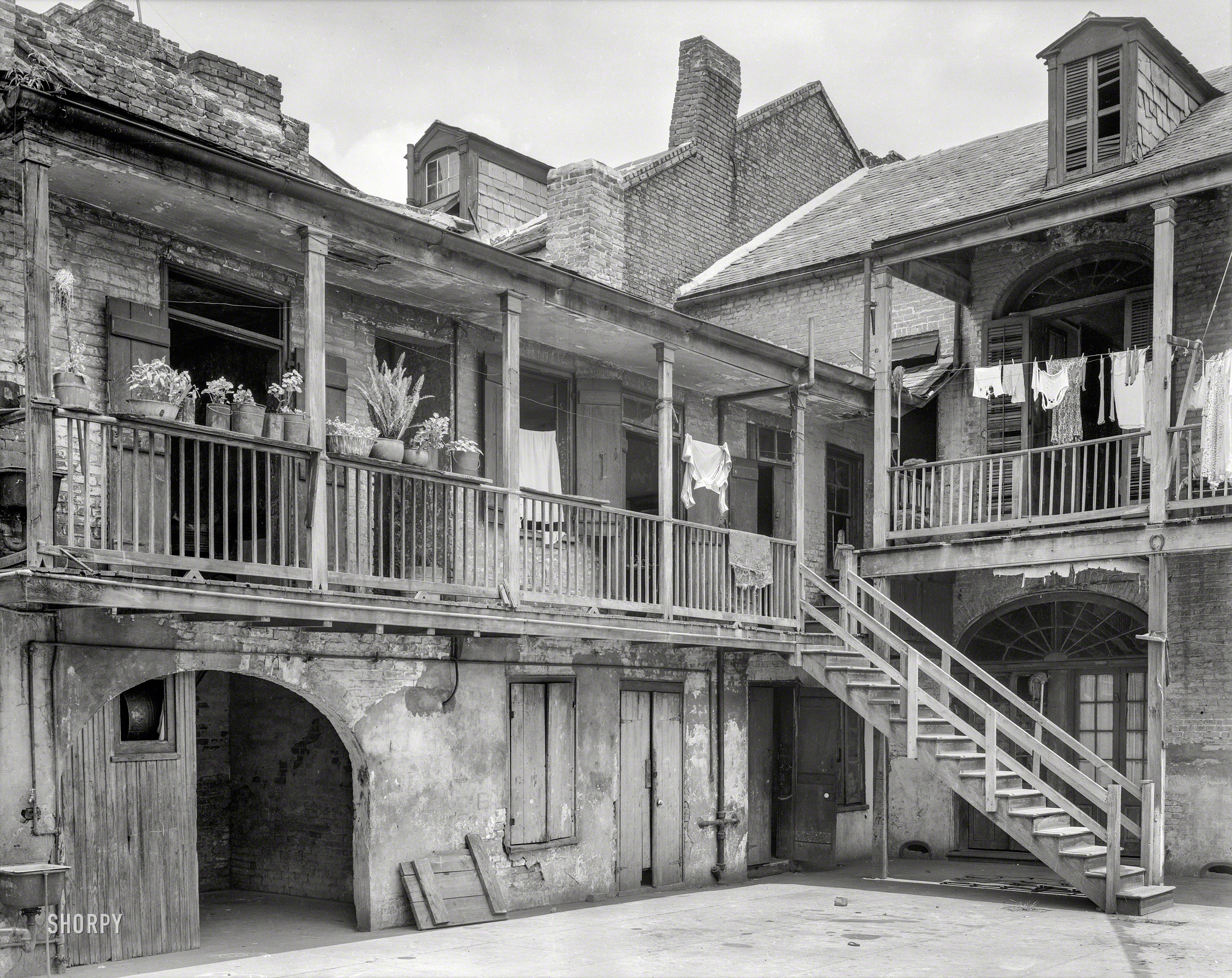 New Orleans circa 1937. "Courtyard, 620-621 Gov. Nicholls Street." Potted plants and underpants. 8x10 negative by Frances Benjamin Johnston. View full size.