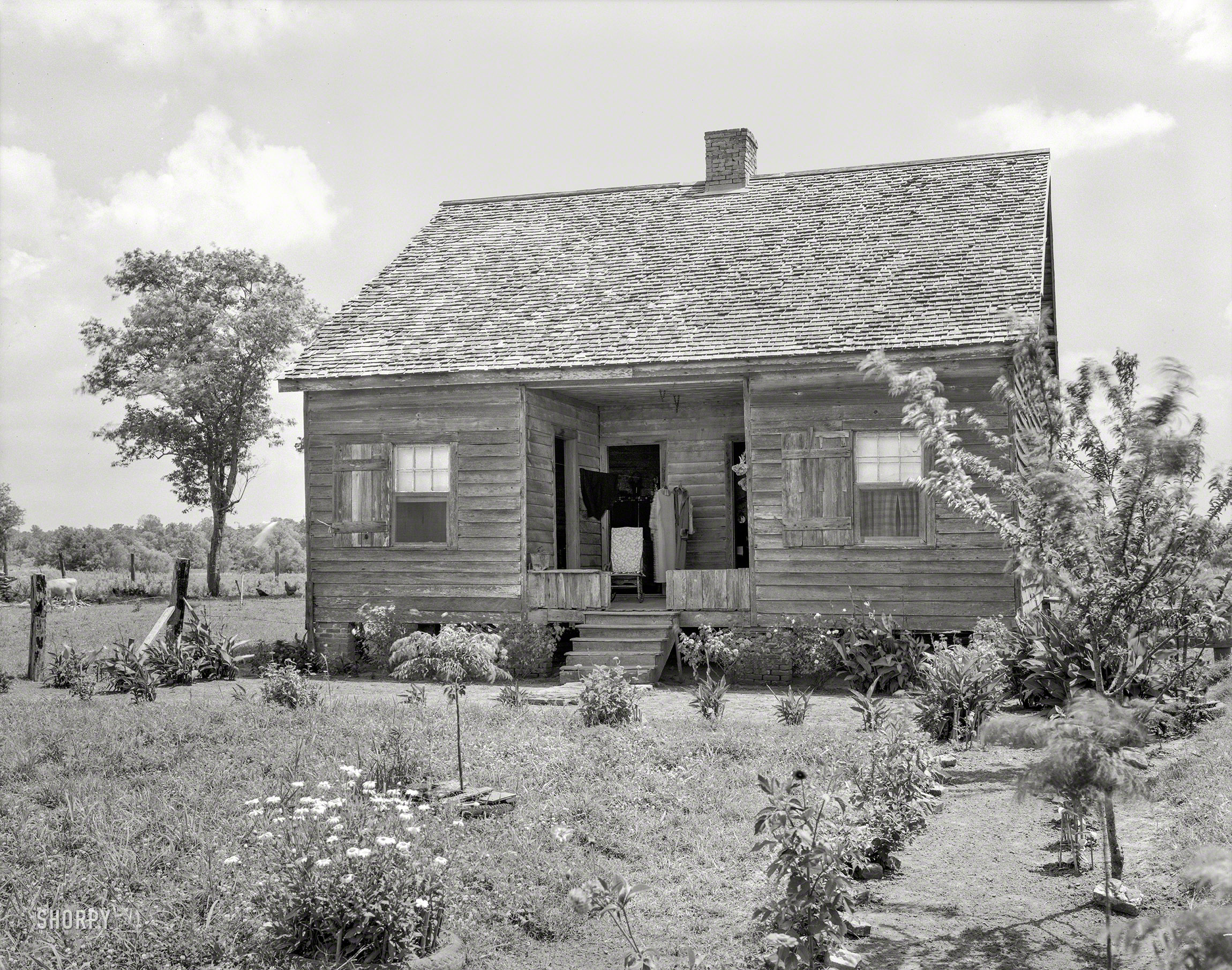 1938. "Thebideau (Thibodaux?) cabin, Franklin vic., St. Mary Parish, Louisiana. Related name: Mrs. Streva." Photo: Frances Benjamin Johnston. View full size.