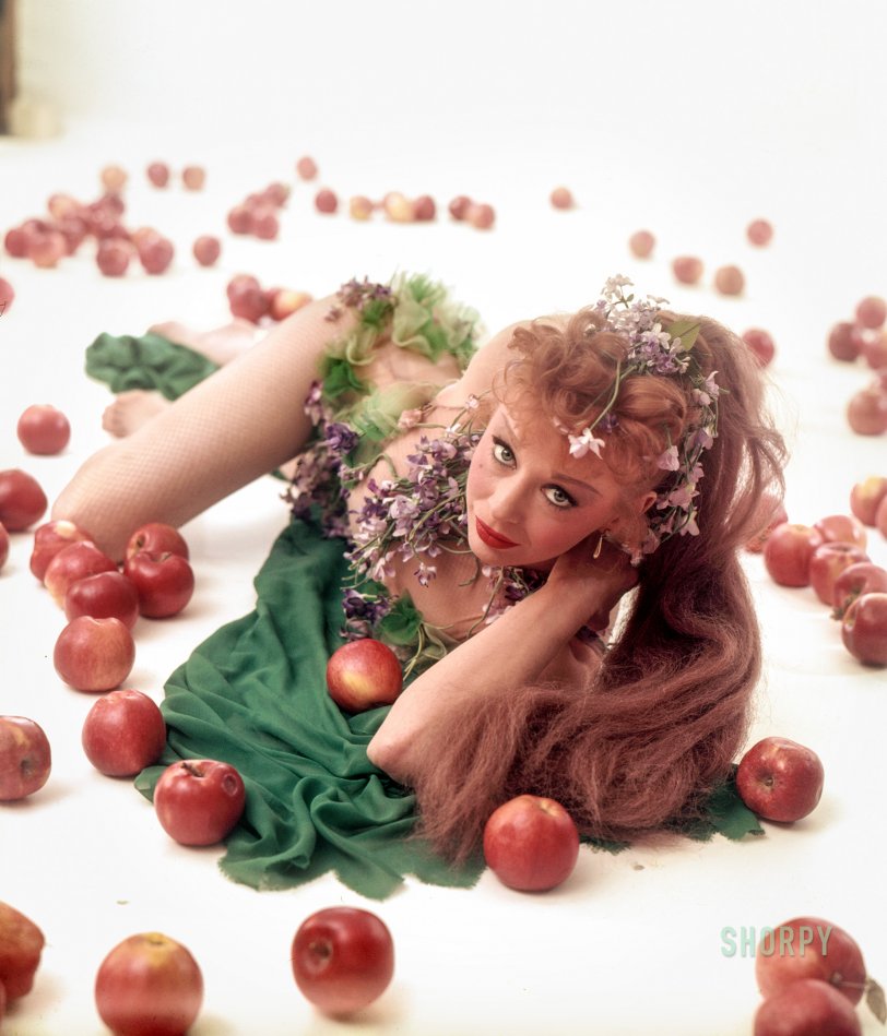 May 1953. "Entertainer Gwen Verdon dressed in a costume as Eve and surrounded by apples." Color transparency from the Look magazine assignment "The New Eve." View full size.
