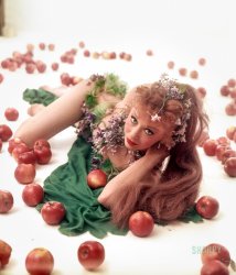 May 1953. "Entertainer Gwen Verdon dressed in a costume as Eve and surrounded by apples." Color transparency from the Look magazine assignment "The New Eve." View full size.