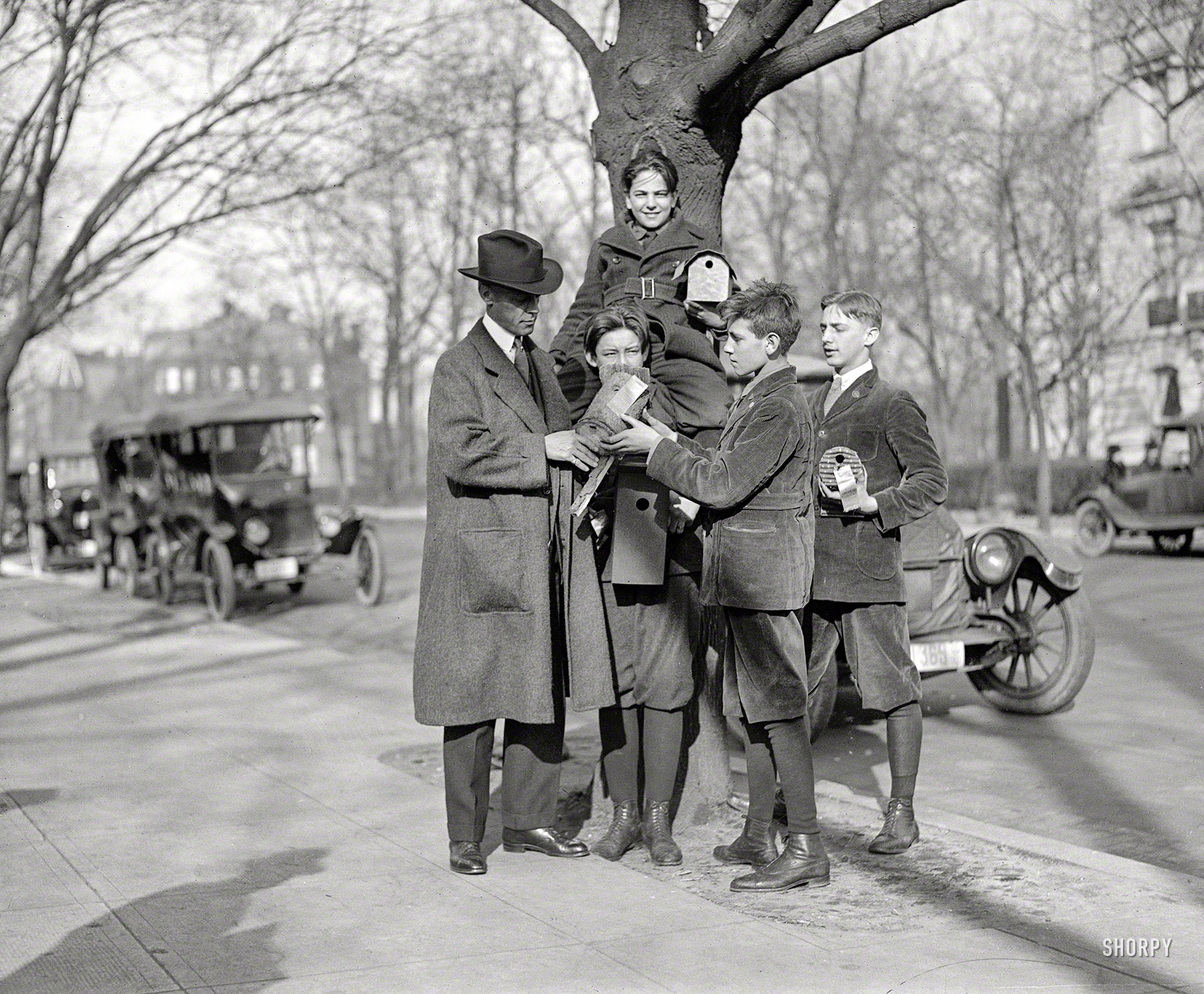 January 20, 1921. Washington, D.C. "American Forestry Association bird house contest." Back when ornithology was something a boy picked up on the streets. National Photo Company Collection glass negative. View full size.