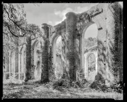 1938. "Prince William's Church, Sheldon Church (ruins), Sheldon, Beaufort County, South Carolina. Building dates to 1753. Destroyed by British army in 1779. In 1826 walls rebuilt upon. In 1865 destroyed by Sherman's army." 8x10 inch acetate negative by Frances Benjamin Johnston. View full size.