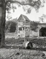 1935. "Birdhouse at Hickory Hill, Ashland, Hanover County, Virginia, and outbuildings for circa 1875 home of Col. Henry Taylor Wickham." 8x10 inch acetate negative by Frances Benjamin Johnston. View full size.