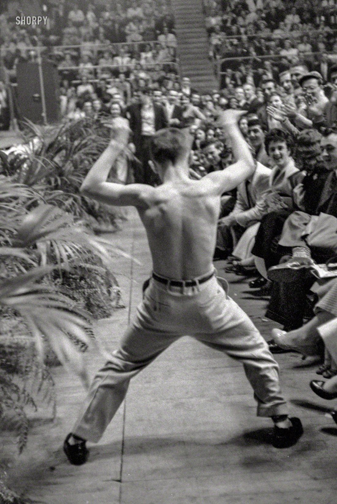 April 1956. "Shirtless teenaged boy dancing in the audience at a performance by Bill Haley and the Comets and LaVern Baker at the Sports Arena, Hershey, Pennsylvania." From photos, last seen here, by Ed Feingersh for the Look magazine article "The Great Rock 'n' Roll Controversy." View full size.