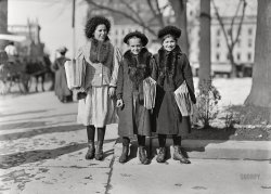March 1909. A trio of Hartford, Connecticut, newsies. "Have been selling two years. Youngest, Yedda Welled, is 11 years old. Next, Rebecca Cohen, is 12. Next, Rebecca Kirwin, is 14." Glass negative by Lewis Wickes Hine for the National Child Labor Committee. View full size.