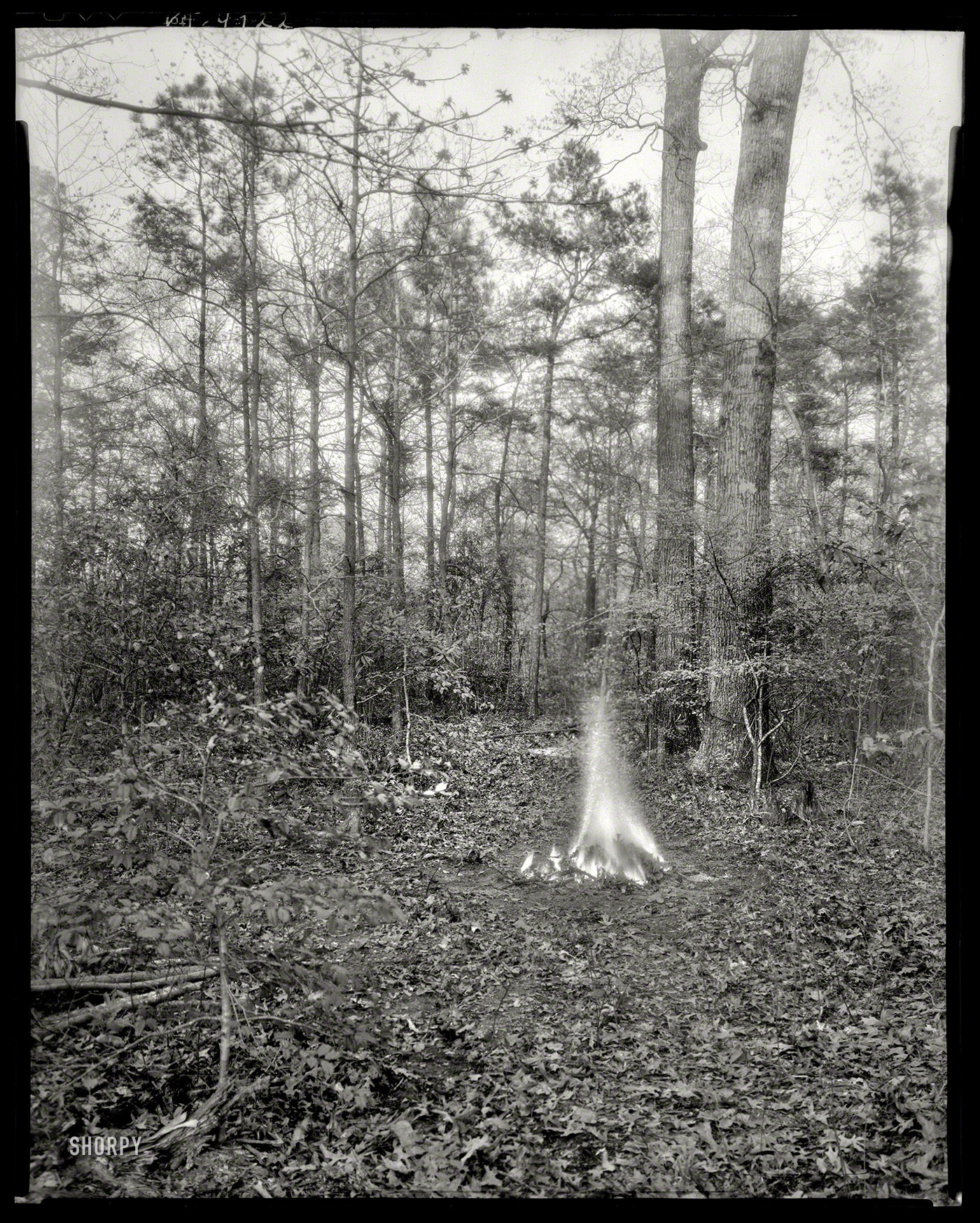Circa 1930s. "The Kellams -- Princess Anne County, Virginia." One of FBJ's more enigmatic exposures. Photo by Frances Benjamin Johnston. View full size.