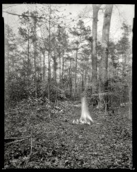 Circa 1930s. "The Kellams -- Princess Anne County, Virginia." One of FBJ's more enigmatic exposures. Photo by Frances Benjamin Johnston. View full size.