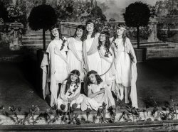 June 5, 1916. New York. "Miss Mackay's pageant Children of Sunshine and Shadow (with the hoop symbolizing 'Play') as presented at Washington Irving High School." Glass negative by Lewis Wickes Hine. View full size.