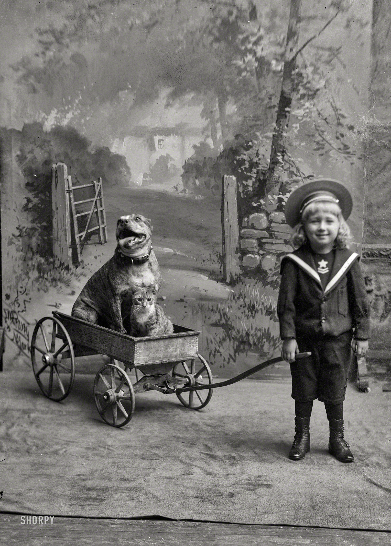 Circa 1894. "Reuter, Fritz." The son (and, presumably, dog and cat) of Washington, D.C., hotelier Fritz Reuter. Glass negative by the C.M. Bell studio. View full size.