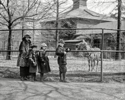 Washington, D.C., 1923. "Mrs. Denby and kids at zoo." Say, don't I know you from back home? National Photo Company Collection glass negative. View full size.