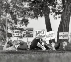 June 1968. "Cartoonist Charles M. Schulz reclining outside next to cutouts of his Peanuts comic strip characters carrying political campaign signs." History records one Richard Milhous Nixon as the victor in this particular electoral contest. From photos by Douglas Jones for Look magazine. View full size.