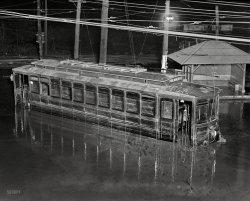 Washington, D.C. "Flood, April 30, 1923." The same as this image but without the horses. National Photo Company Collection glass negative. View full size.