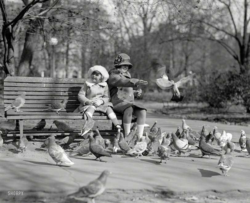 Nov. 9, 1923. Washington, D.C. "McAdoo children." Mary and Ellen McAdoo, whose grandfather was Woodrow Wilson. National Photo Co. View full size.
