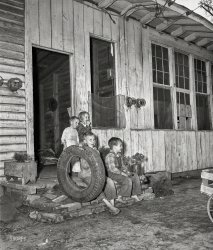 Columbus, Georgia, circa 1948. "Housing -- 'A.C.' chicken house dwelling." Some of the tots last seen here, waiting for a rope and a tree to come along. 4x5 inch acetate negative from the Shorpy News Photo Archive. View full size.
