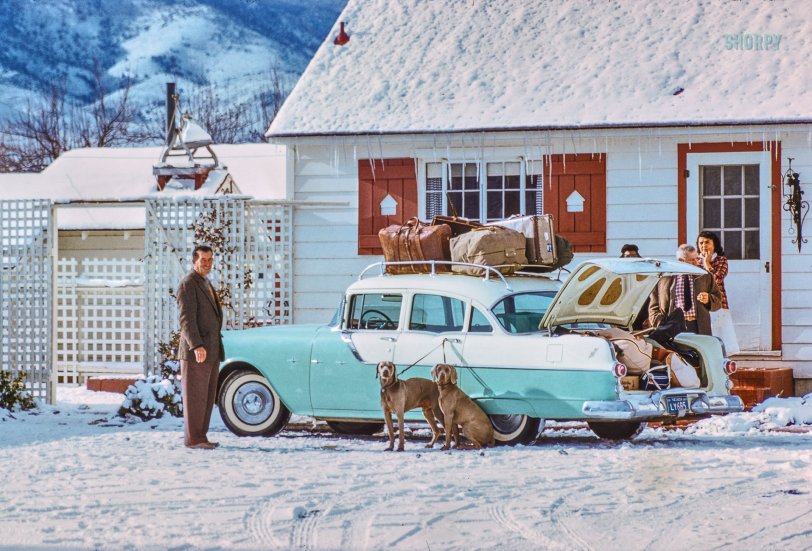 November 1958. "Waterfowl hunting (Nevada) -- Mr. and Mrs. Stanwood Murphy of San Francisco." 35mm Kodachrome by Toni Frissell for the Sports Illustrated assignment "Shooting: California Waterfowl Hunting; Upland Game Birds in Nevada." View full size.

