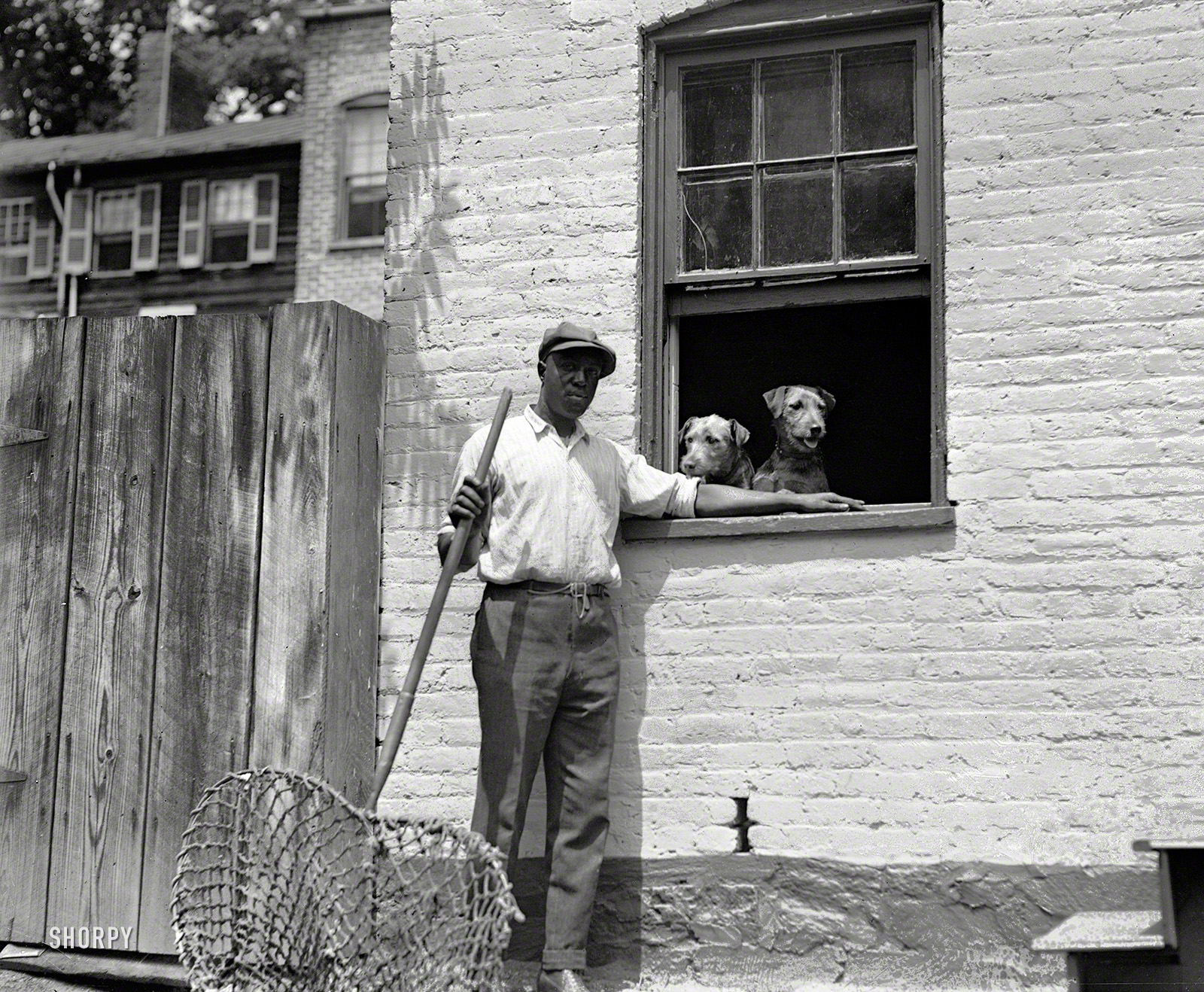 Washington, D.C., 1924. "Dog catcher." Thwarted, at least for the moment, by jurisdictional issues. National Photo Company glass negative. View full size.