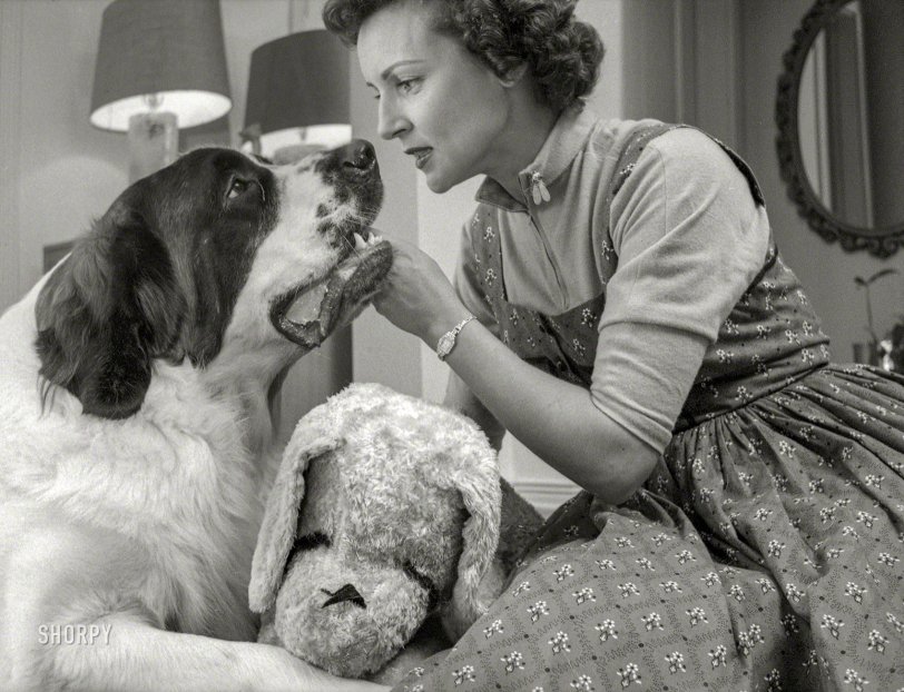 September 1954. "Photographs show actress and daytime television host Betty White at home in Los Angeles with her dogs." 35mm negative from photos by Maurice Terrell and Earl Theisen for Look magazine. View full size.
