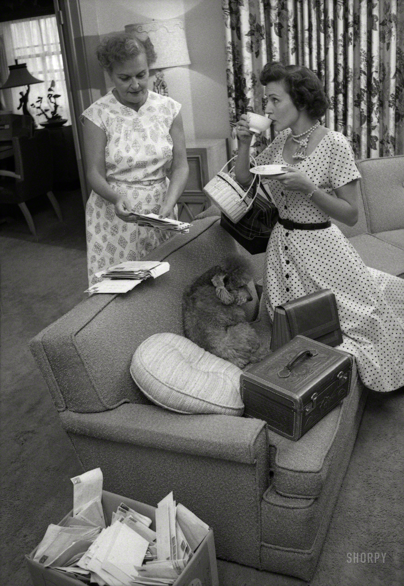 1954. "Actress Betty White at home, about to leave for studio where her Los Angeles daytime television show is broadcast." (UPDATE: The lady with the fan mail is Betty's mother, Tess.) 35mm negative from photos taken for Look magazine. View full size.