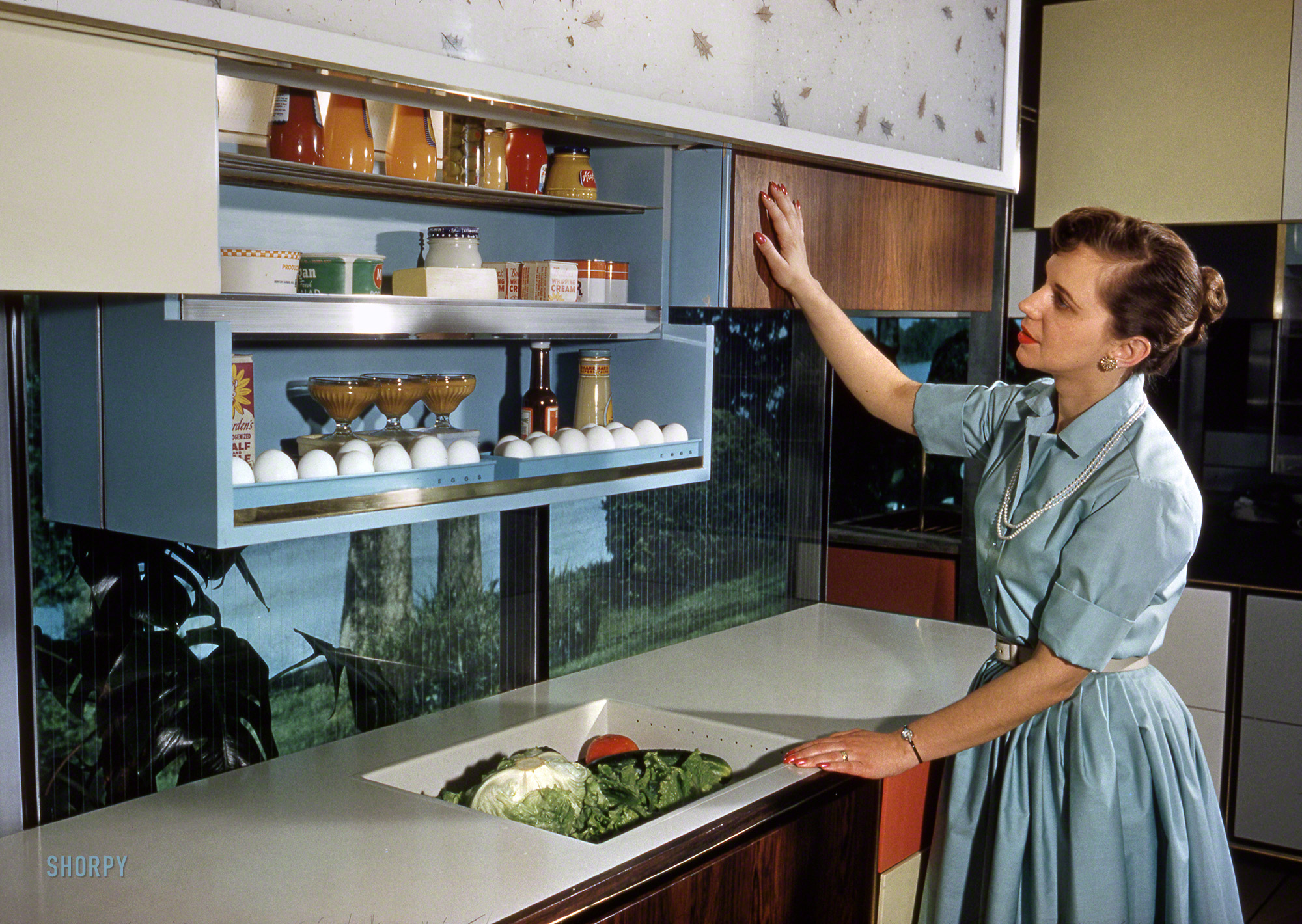 1959. "Anne Anderson in RCA-Whirlpool 'Miracle Kitchen of the Future,' a display at the American National Exhibition in Moscow." Photo by Bob Lerner for the Look magazine article "What the Russians Will See." View full size.