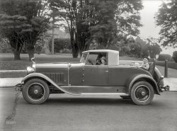Rumble-Seat Rodent: 1928