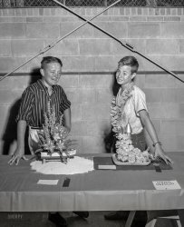 Columbus, Georgia, circa 1959. Since the days of "Rebel Without a Cause," one staple of Young Adult pop culture has been the drama inherent in that evergreen premise, Which boy will win the flower-arranging contest? The two young men shown here appear to have ribboned on the theme of "Spring Unfolds" -- at right with a creation titled "Rocket to Moon"; on the left with a nautical floral composition featuring a beached cabin cruiser, the "Fair Lady." 4x5 inch acetate negative from the Shorpy News Photo Archive. View full size.