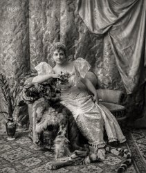 Chicago, 1893. "Actress Lillian Russell (1860-1922), full-length portrait, seated on tiger skin." Photo by William McKenzie Morrison. View full size.