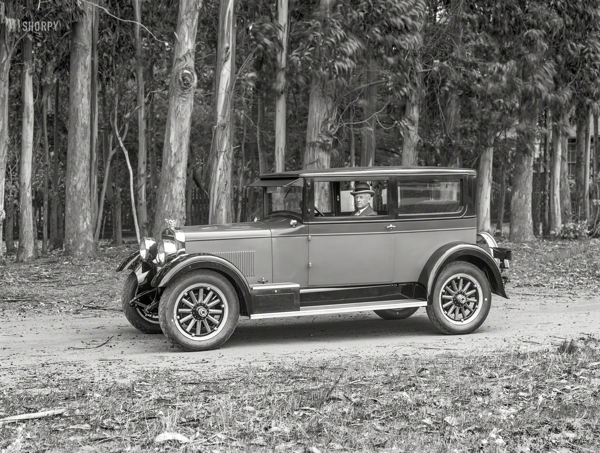 San Francisco, 1926. "Rickenbacker coupe." Today's selection from the Shorpy Archive of Arboreal Autos. 5x7 glass negative by Chris Helin. View full size.