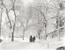 "Boston Common, 1920, Park Street side. Horses pulling snow plow." 4x5 inch glass negative, photographer unknown. View full size.