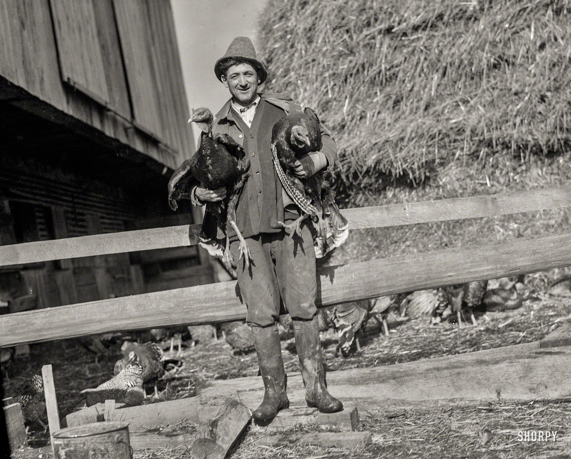 "W.S. Day of Greenwood Farm, Dawsonville, Maryland, Nov. 13, 1925." National Photo Company Collection glass negative. View full size.