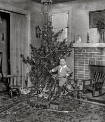 December 1925. Washington, D.C. "W.W. Lodding (tree & son)." Scion of Walter W. Lodding, of Office Xmas Party fame. 4x5 inch glass negative, National Photo Company. View full size.