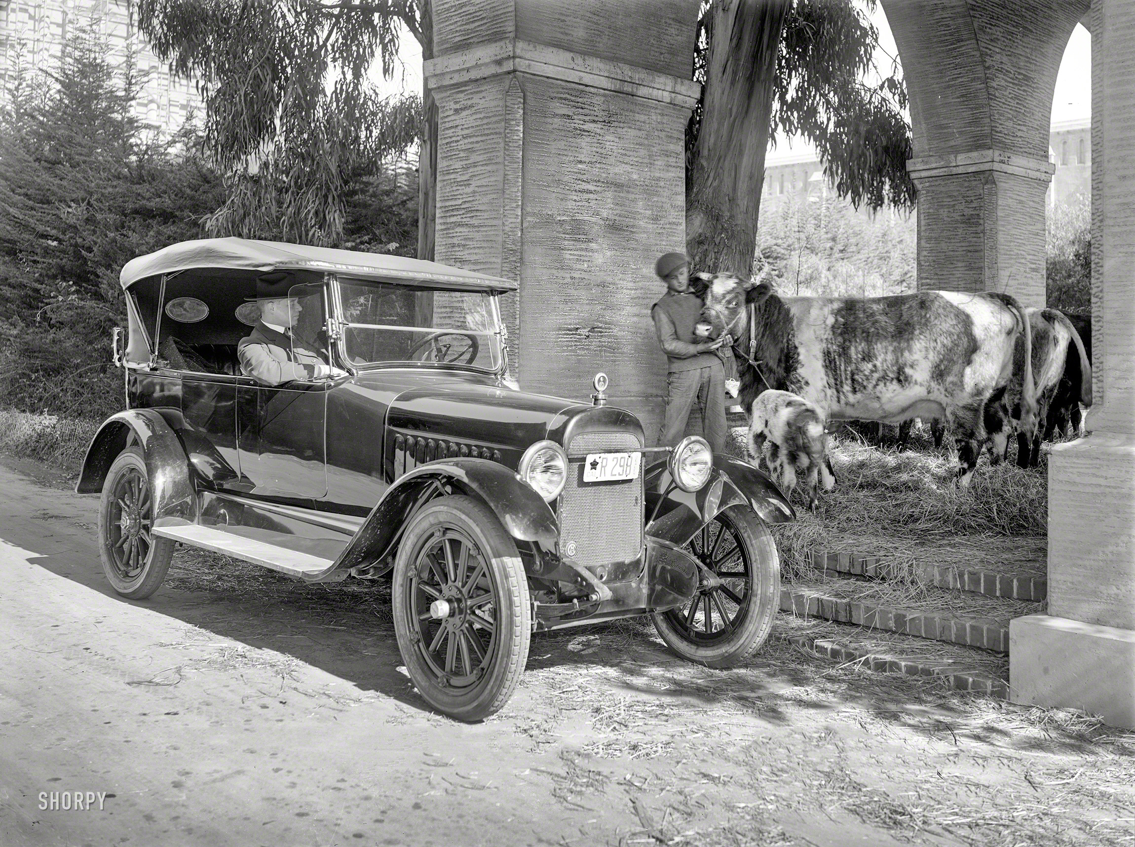 San Francisco or thereabouts circa 1919. "Chalmers touring car." At what seems to be a deluxe cow barn. 6½ x 8½ Wyland Stanley glass negative. View full size.