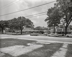 Columbus, Georgia, circa 1961. "Martinique Motor Hotel, Fourth Avenue." The New Frontier in Old Dixie. 4x5 inch acetate negative from the Shorpy News Photo Archive. View full size.