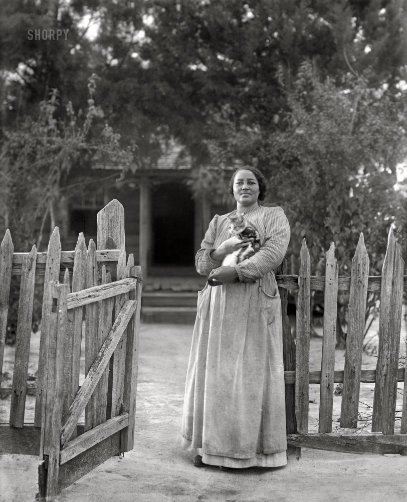 Circa 1902-1906. "Tuskegee Normal and Industrial Institute, Alabama. Branch &amp; Vicinity School. Woman standing at gate holding a cat." 8x10 inch glass negative by the pioneering feminist-photojournalist Frances Benjamin Johnston (1864-1952). View full size.
