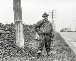 Washington, D.C., 1929. "Chesapeake & Potomac Telephone Co. lineman." Last seen here. National Photo Company Collection glass negative. View full size.