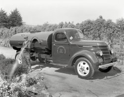"Golden Gate International Exposition, San Francisco, 1939. International Harvester watering truck." The latest entry in the Shorpy Catalogue of Discontinued Conveyances. 8x10 inch film negative. View full size.
Hoping for an AnswerHow long was it before vehicle manufacturers decided to install windshield wipers on both sides of the front windshields?  Was it because they felt that only one wiper, on the driver's side, was necessary because it had to be operated manually by the driver, or is that not a correct assumption?  Frankly, it is totally unsafe to have but a single wiper!  Was it a matter of economy during the manufacturing process or were the vehicle engineers just totally oblivious to this safety hazard?
[I hestitate to guess how shocked you'll be to learn that there was a time when most cars had a total of zero wipers! -Dave]
GGIE locationThis was almost undoubtedly taken at the 20-acre plant propagation area created for the fair at San Francisco's Balboa Park. From the fair's site on Treasure Island in the middle of San Francisco Bay there'd be no view of nearby treeless hills like those in the photo.
WipersMy volunteer fire department's 1942 GMC has wipers on both sides but they each have their own on/off switch so the passenger was responsible for turning it on themselves if they wanted to see.
DIY WipersAs a kid I remember riding in cars that were so old that while they had two wipers, the one on the passenger side was manual. The driver's side had the old style vacuum wiper, which as the car accelerated would cause the wiper to slow down. I see this truck has a left side mirror, but none on the right side. When I learned to drive, our 1963 Falcon had no outside mirrors at all. In 1969, when I started my job as a trolley bus driver, Vancouver buses had no right side mirrors. Compare that to today's vehicles with rear view backup camera displays.
My &#039;48 truckWas built with no options.  One wiper, one sun visor, one (left) taillight, no heater, no outside mirrors.  The turn signals work great, as long as you go to the trouble of cranking the window down so you can stick your arm out.  The wiper switch is technically a valve, which connects the wiper mechanism to the intake manifold.  As Angus J notes, you control wiper speed with the accelerator.
(The Gallery, Cars, Trucks, Buses, San Francisco)