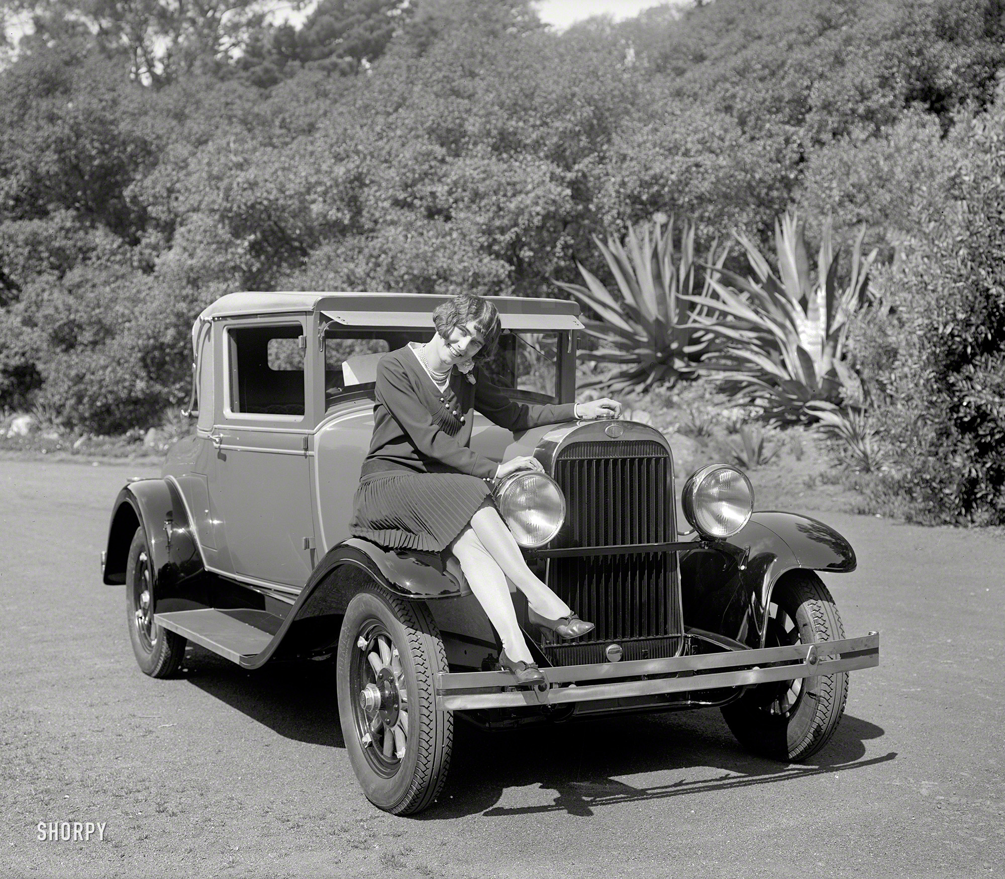 "Oldsmobile Coupe, 1928." Along with some exotic specimens representing the flora and fauna of San Francisco. 5x7 inch glass negative. View full size.
