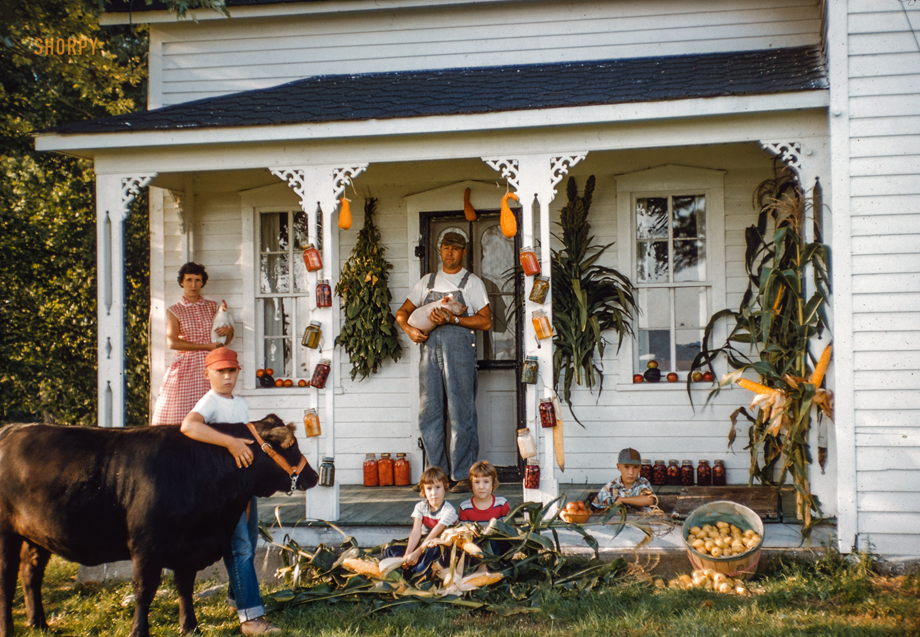 September 1957. "The Willis Cooper family on the front porch of their farmhouse near Radcliffe, Iowa, surrounded by animals and foods." 35mm color transparency from photos by Jim Hansen for the Look magazine assignment "Iowa family." View full size.