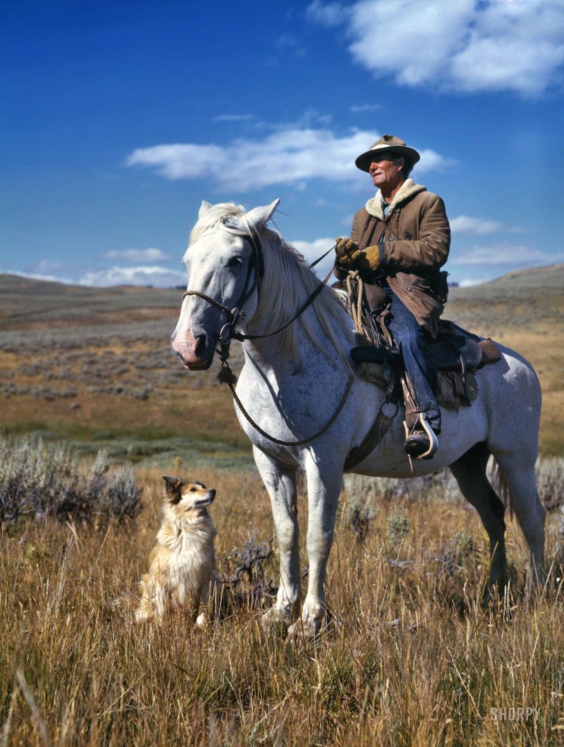 August 1942. "Shepherd with his horse and dog on Gravelly Range, Madison County, Montana." Kodachrome transparency by Russell Lee. View full size.
