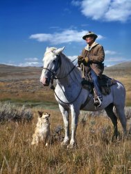 August 1942. "Shepherd with his horse and dog on Gravelly Range, Madison County, Montana." Kodachrome transparency by Russell Lee. View full size.
