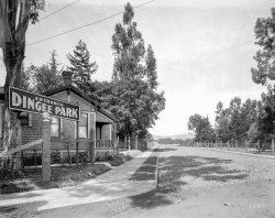 Dingee Park: 1909