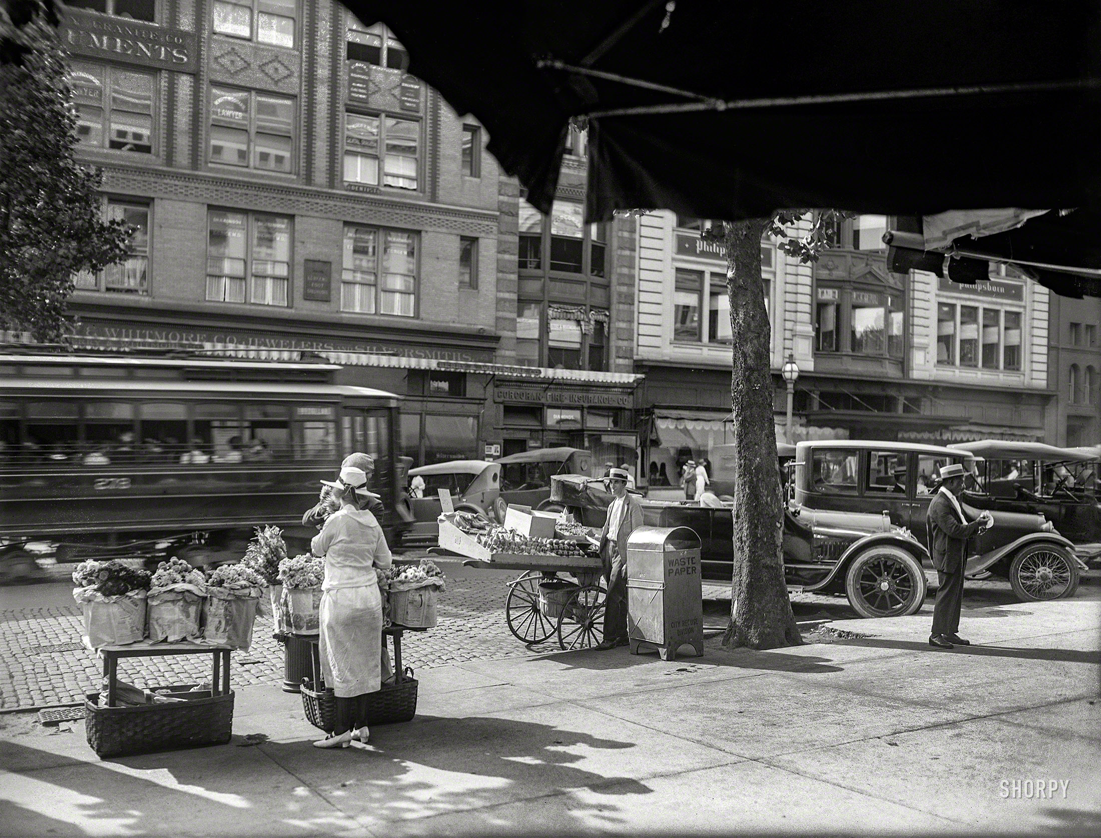 Washington, D.C., circa 1921. "National Fruit Co. -- Eleventh Street N.W." National Photo Company Collection glass negative. View full size.