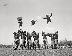 August 28, 1937. Washington, D.C. "Washington Redskins start training. He-man exercise took the place of calisthenics today as the Redskins, Washington's entry in National Professional Football League, started training. The boys 'flying thru the air' are, left to right: Wayne Millner (former Notre Dame star), Pug Rentner (Northwestern) and Nelson Peterson (West Virginia Wesleyan)." 4x5 inch glass negative, Harris & Ewing Collection. View full size.
