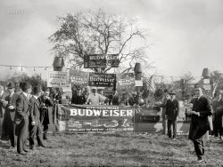 October 21, 1922. Washington, D.C. "Shriners barbecue." And a promotion for Prohibition-era Budweiser. National Photo Company glass negative. View full size.
JumboThe fellow on the far left has a beautiful sandwich, but he might need two Buds to get through it!  Near Beer on the Mall?
Have we met?Your fez is familiar.
My kind of partySausages and Budweiser! You can have the Grape Bouquet, though. I like my beer to smell like select grains, and choice hops.
SubstitutesFake beer, fake wine -- next you're gonna tell me Sausage Imperial is made of tofu.
Counter ItemsThe counter on the right side of the photo has items hanging down that look to be anchored to a string.  Are these knives or bottle openers?  I can't tell what they are or their purpose since there seems to be plenty of help behind the counter.
Beautiful Budweiser Banner  In this day of digital prints any color printing is relatively a breeze...I'm curious...would this banner be printed with a photo silk screen process? It has a really modern look. I'm a signpainter so am familiar with some of these processes but didn't know when they might have been introduced. I just love this site!
Prohibition BudI bet it was a better product than the beer is. 
Re: Counter Items..Oyster knives, possibly?
Those Hanging ThingsLook to be knives for shucking oysters.  There seem to be shells on the ground in front of the counter.
Hoffler&#039;s Sausage ImperialDoes that signify that it was served on a Kaiser roll, mit or mitout zauerkraut?
Counter ItemsCould those be oyster knives hanging off the counter? And are those oyster shells (and paper cups) on the ground in front of that counter? 
Grape Bouquet"Five cents a glass at all fountains" in the ad, but "Ten cents everywhere" in today's photo! 
Grape BouquetI never knew Anheuser-Busch made Grape Bouquet, which I assume was a soda and non-alchololic - who can enlighten me on this product - years it was made, other flavors, most popular where ?  other info ?
Oyster Knives?The 'counter items' hanging down look like oyster knives, for opening oyster shells. And the rubble at the base of the counter could be the discarded shells.
Why don&#039;t we tell our wivesthat we're going to a convention?
Hanging from the stringsThose are oyster knives.
Doin&#039; it without the fez onNow, there's a "G-Man" if I've ever seen one. And yes, I've seen one.
Guy at the rightCharles Schumer been a senator for HOW long?
If I can&#039;t have a real beerI'm at least gonna have a real cigarette, goshdarnit!
Almas ShrinersThe location is Alton Farm at Sligo (Silver Spring), MD, part of the Crosby Stuart Noyes Estate, now known as Woodside Park. Another photograph from this picnic is seen at Blazing Saddles: 1922.  



Washington Post, Nov 2, 1924 

The Noyes mansion, with the 10 &frac12; acres of grounds surrounding it, on the Colesville pike, between Indian Springs club and Sligo, has been sold by the owner, Thomas E. Jarrell, to a syndicate.  Plans for a a real subdivision are now under way, and an extensive building operation is planned.
The beautiful estate, famous as the home of the late Crosby S. Noyes, is well known to Washingtonians.  Since Mr. Jarrell's ownership of the property, some of the leading organizations have held their summer outings here: namely the Acacia Mutual Life Association, Almas Temple, Board of Trade and the City club.
The trees and shrubbery surrounding the old home, brought from various parts of the world, are unequalled.
Home WinemakingI suspect that Grape Bouquet was probably sold as a do-it-yourself wine starter.
(The Gallery, D.C., Natl Photo)
