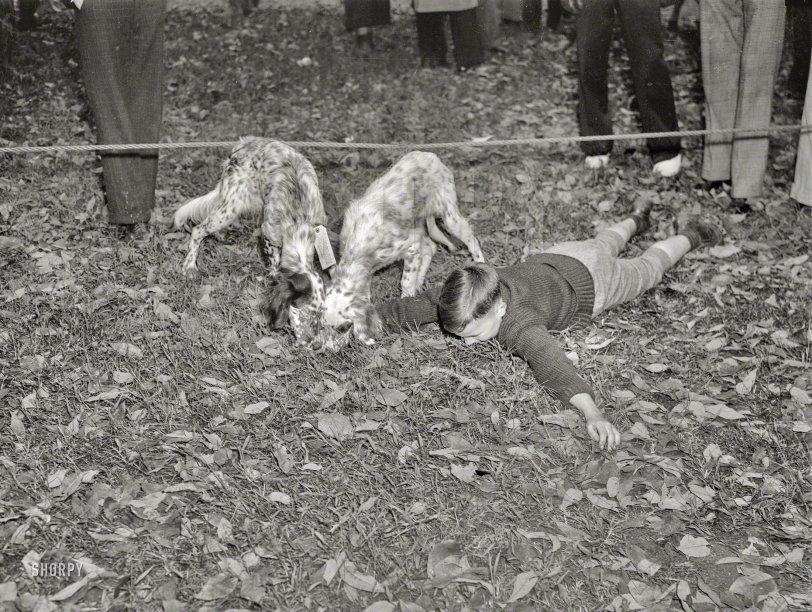 Dog Mart: 1937